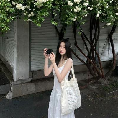 天食向日葵